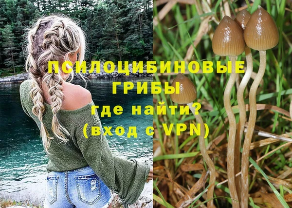 spice Горняк